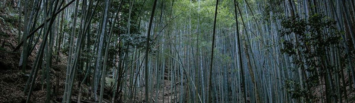 El lugar de las tres cascadas. Pequeñas historias de Hiroshima