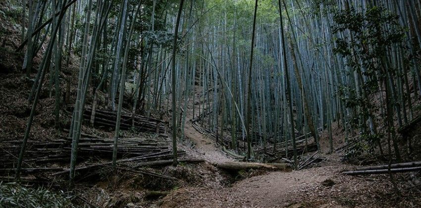 El lugar de las tres cascadas. Pequeñas historias de Hiroshima