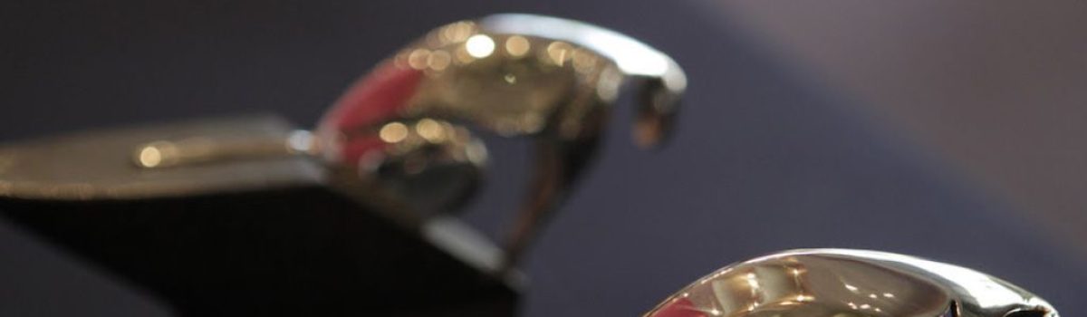 ¡Conoce a los ganadores de FICUNAM 11!