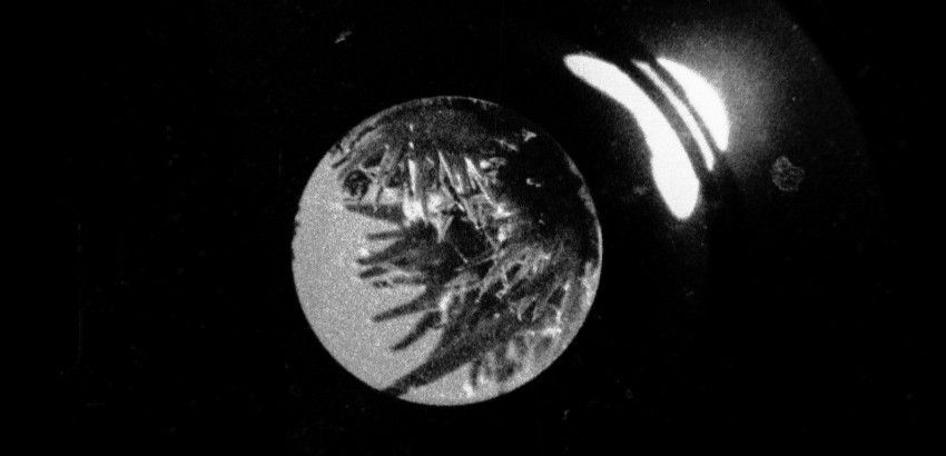 Esporas neón Esporas neón