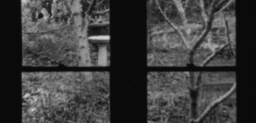 In and Out a Window In and Out a Window