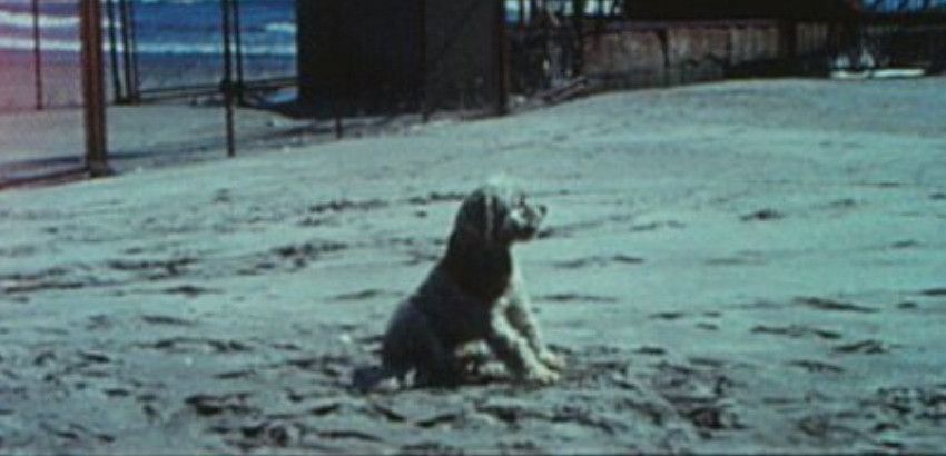 Puchuncaví Puchuncaví