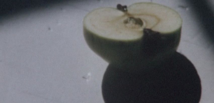 Views From Home Views From Home