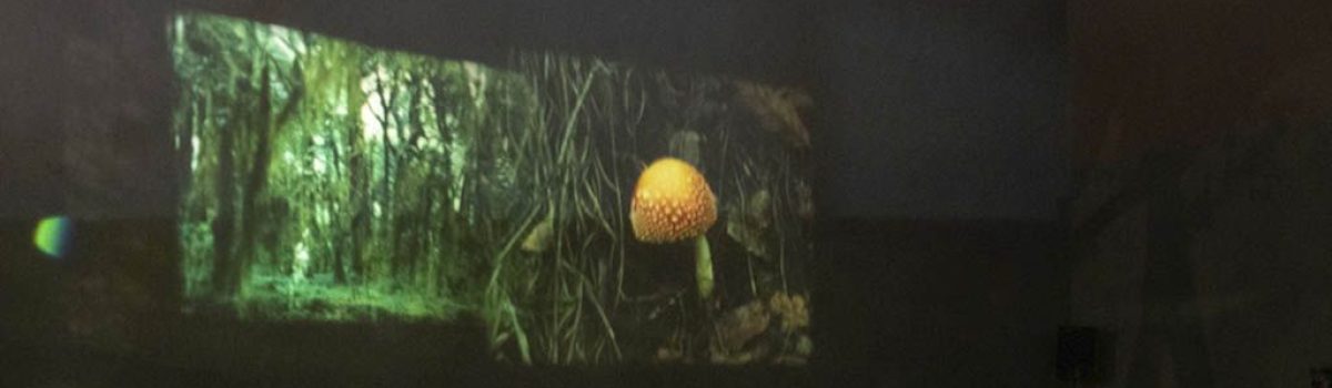 La cineasta Elena Pardo presentó ‘Pulsos subterráneos’ en el Museo Experimental ‘El Eco’
