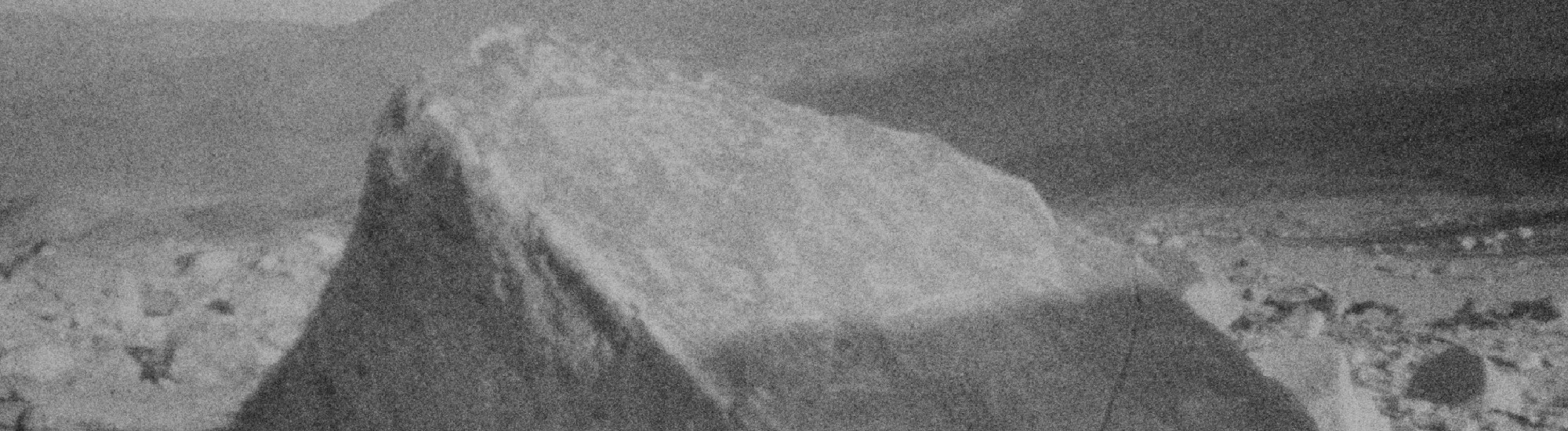 Piel de toro muerto Piel de toro muerto