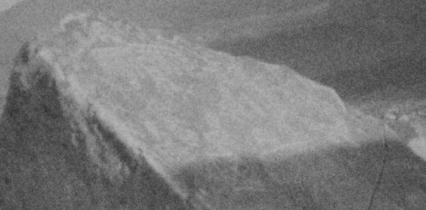 Piel de toro muerto