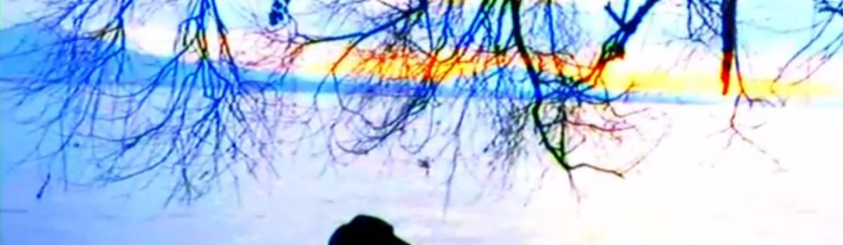 FICUNAM presenta función especial en 3D de Adiós al lenguaje, de Jean-Luc Godard