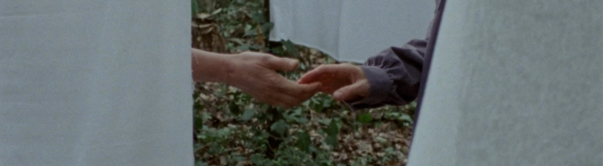 Si pudiese sostenerme como lo hacen los árboles Si pudiese sostenerme como lo hacen los árboles