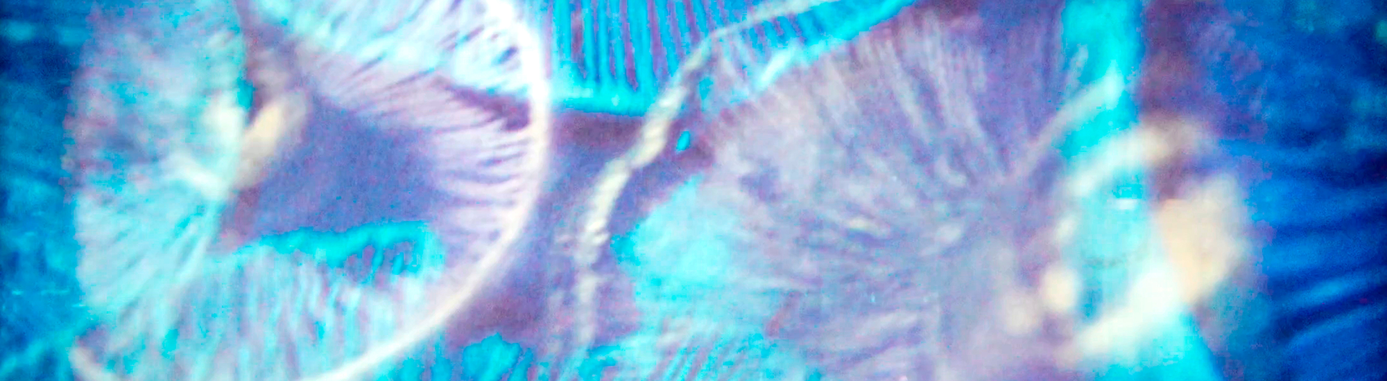 Nanacatepec Nanacatepec