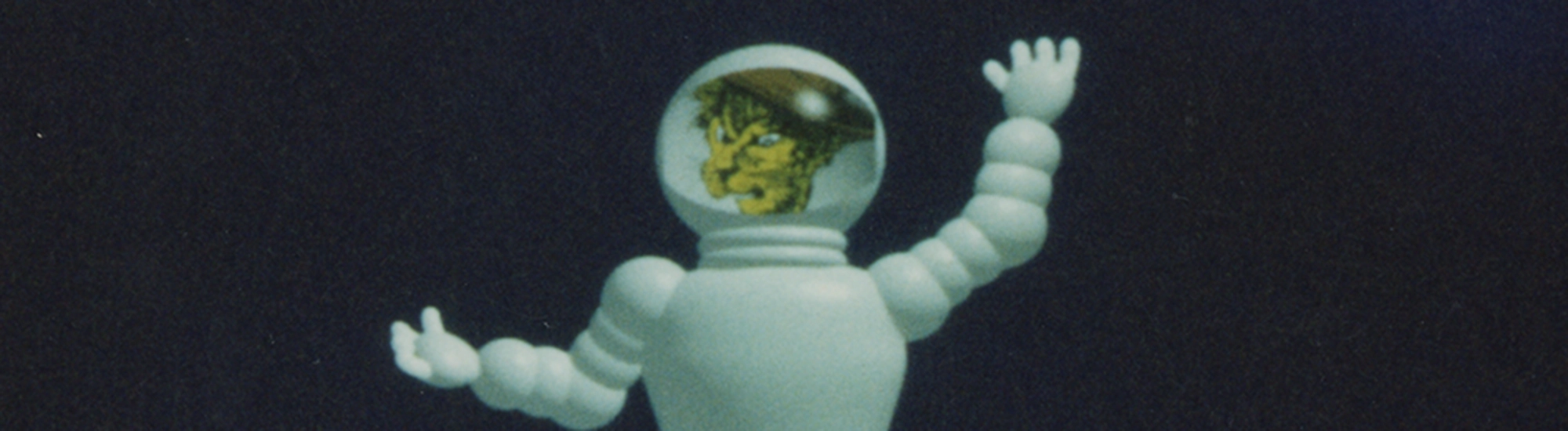 Los animales Los animales