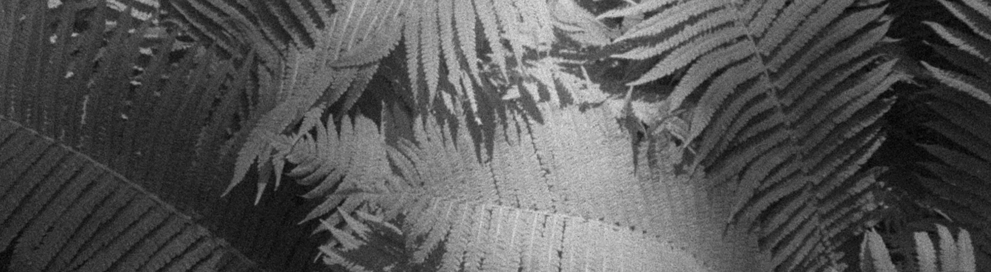 Materia vibrante Materia vibrante