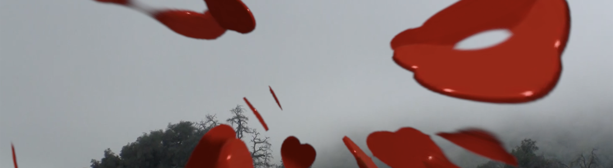 F1ghting Looks Different 2 Me Now