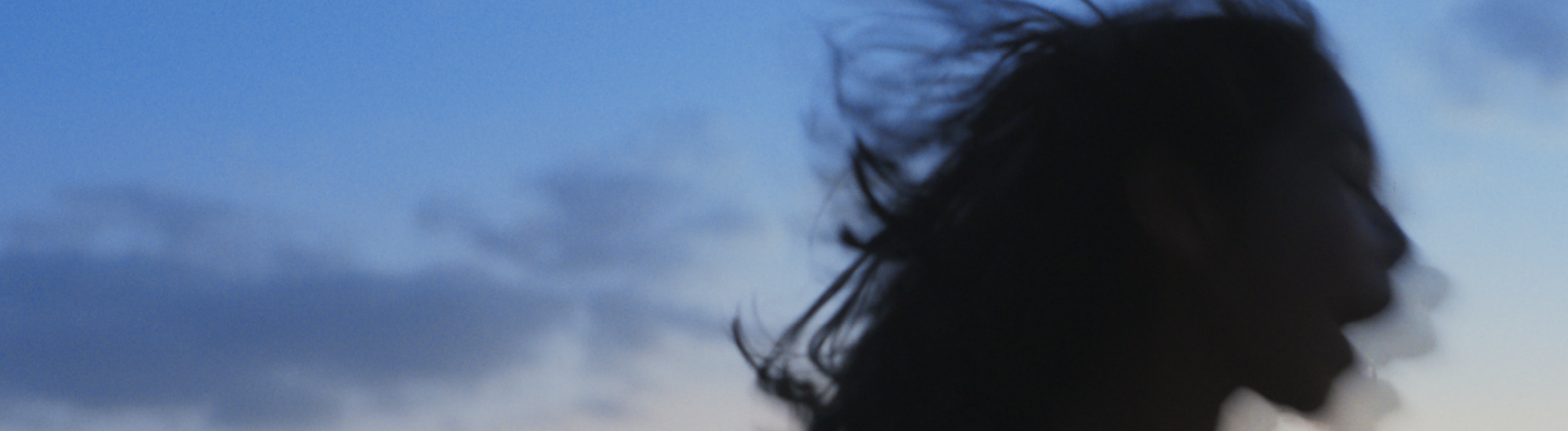 Traigan de vuelta al tigre Traigan de vuelta al tigre