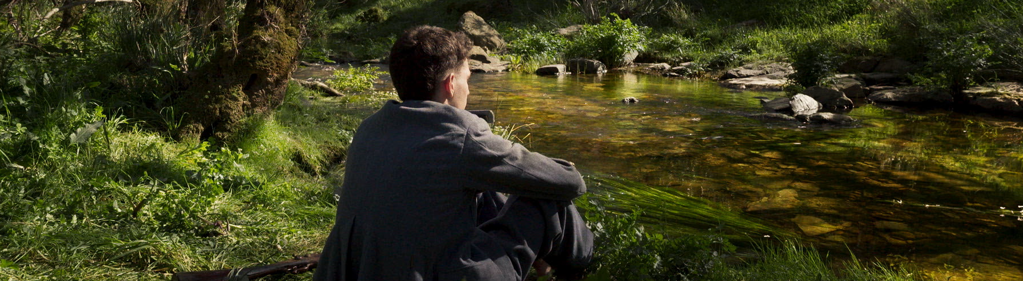 Fogo do vento Fogo do vento