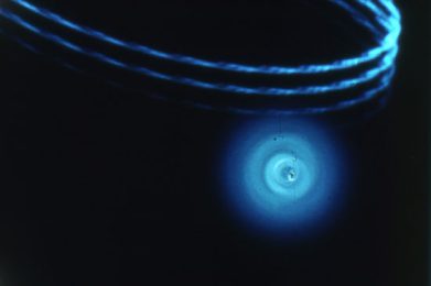 Pasteur 3